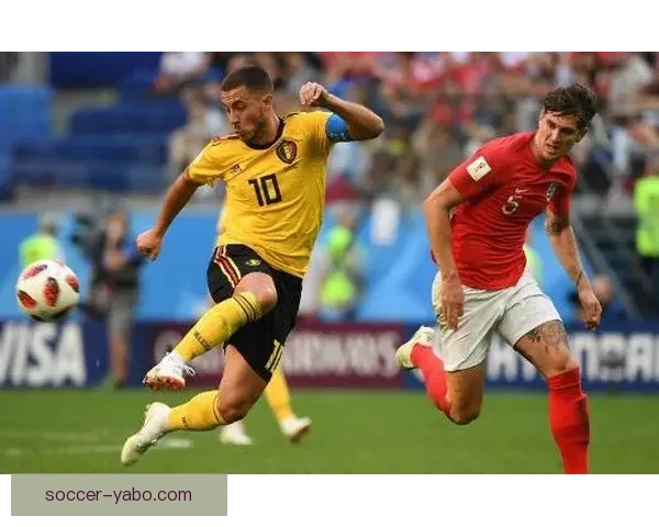 世界杯买球技巧全解析，助你精准预测提升胜率攻略